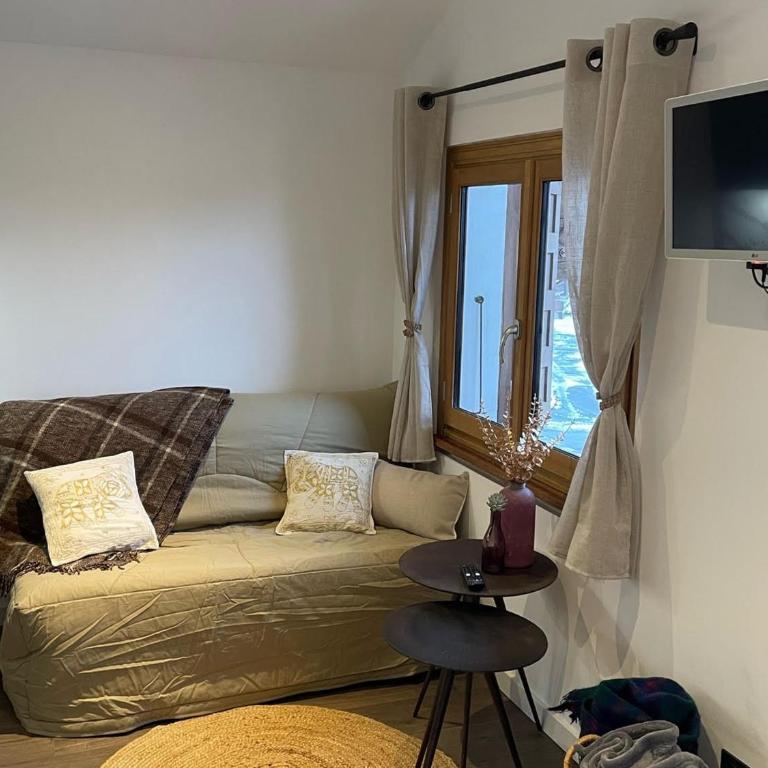 Charmant appartement au centre, proche pistes, pour 3 pers. - FR-1-467-145 - Apartamento - 9