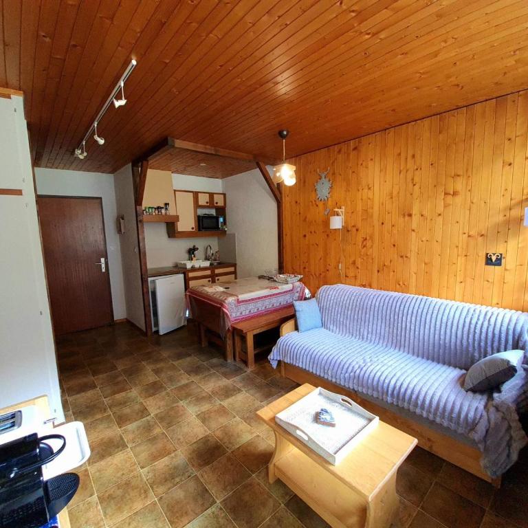T2 centre village La Clusaz, balcon - FR-1-459-242 - Apartamento - 1