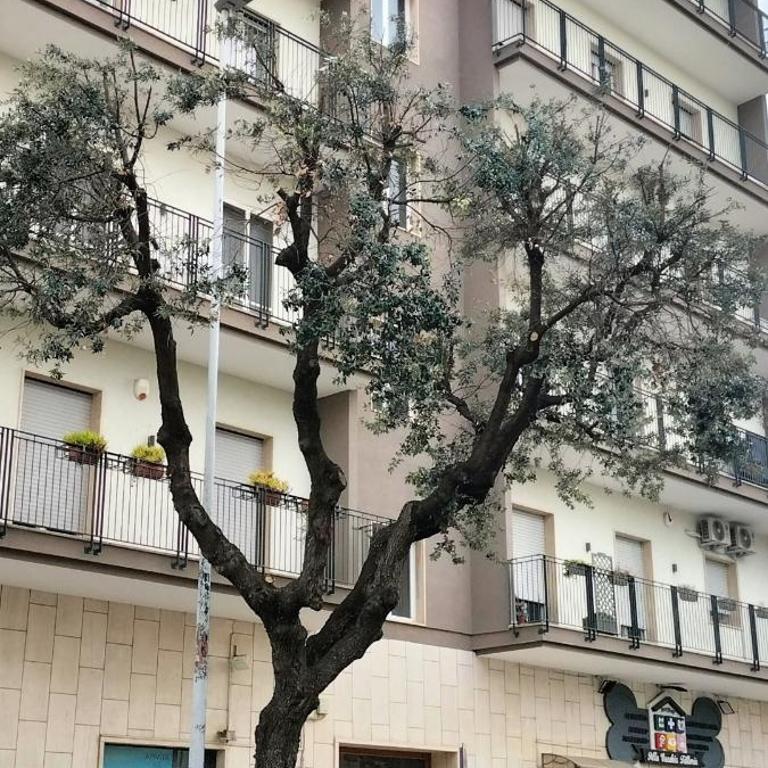 La Casa Di Emira - Appartamento con 2 Camere da Letto - 27