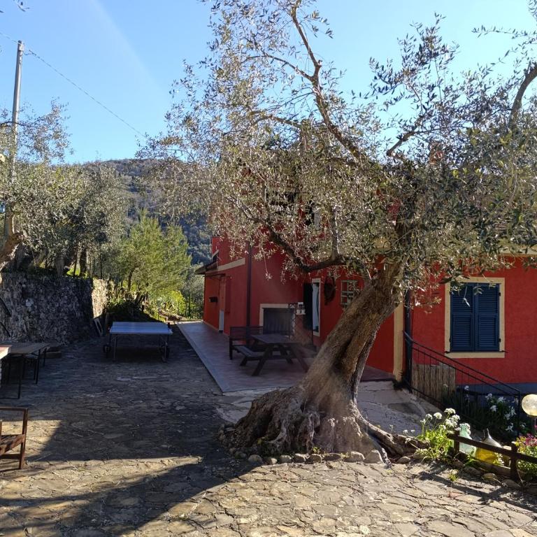 Le casasse - Appartamento con 3 Camere da Letto - 40