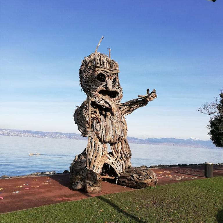 Bright modern apartment with lake view in Evian - Appartement 2 Chambres - 18