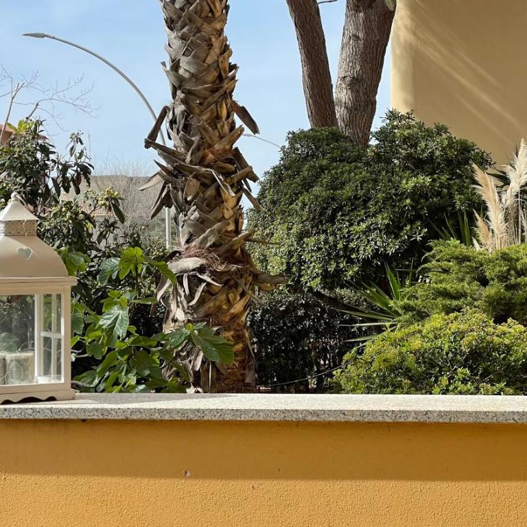 Apartment Rossella free parking - Apartment - 13