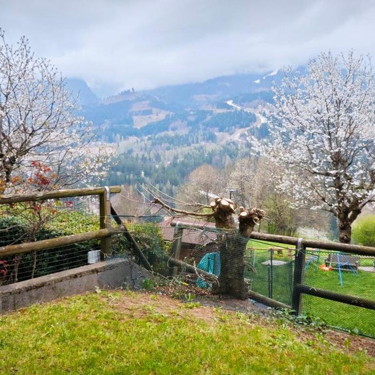 Casa Cermis - Appartamento con 2 Camere da Letto - 14