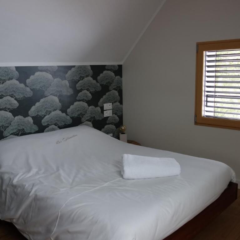 Hotel le Chalet - Apartment mit 3 Schlafzimmern - 3