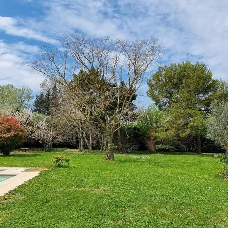 Charming house Saint Remy de Provence - Villa avec Piscine Privée - 22