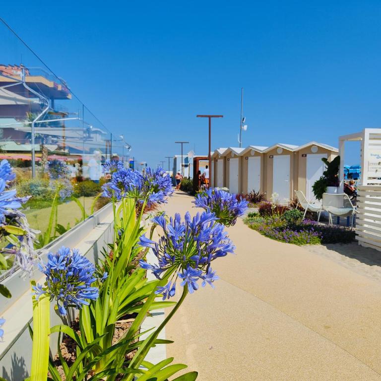 Hotel Cola Frontemare - Classic Double Room with Balcony and Beach Access - 5