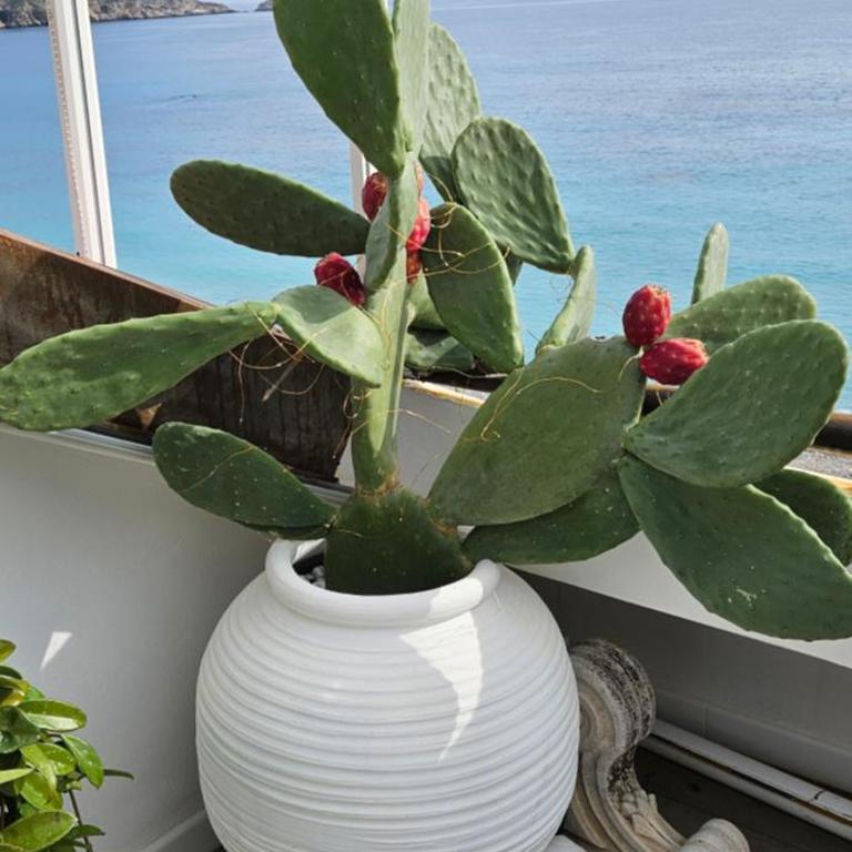 Oltre l'essenza del mare - Casa con 1 Camera da Letto - 28