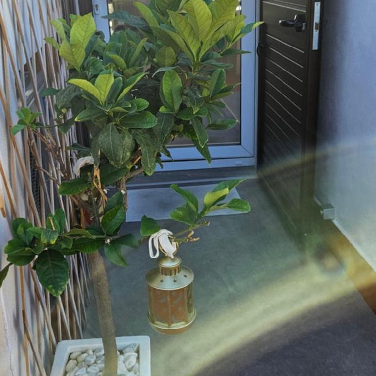 Oltre l'essenza del mare - Casa con 1 Camera da Letto - 40