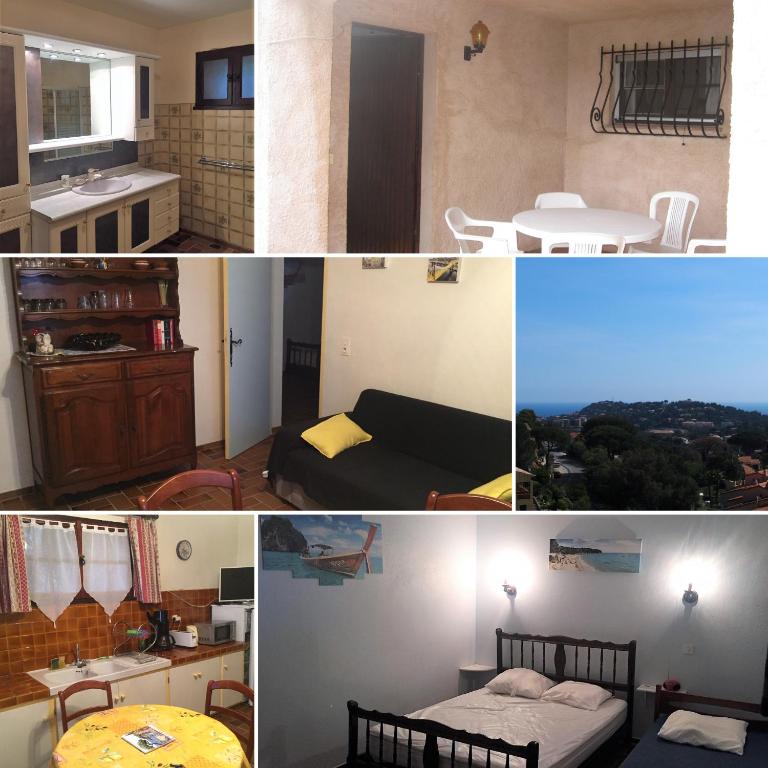 Casa Paulette - One-Bedroom Apartment - 2