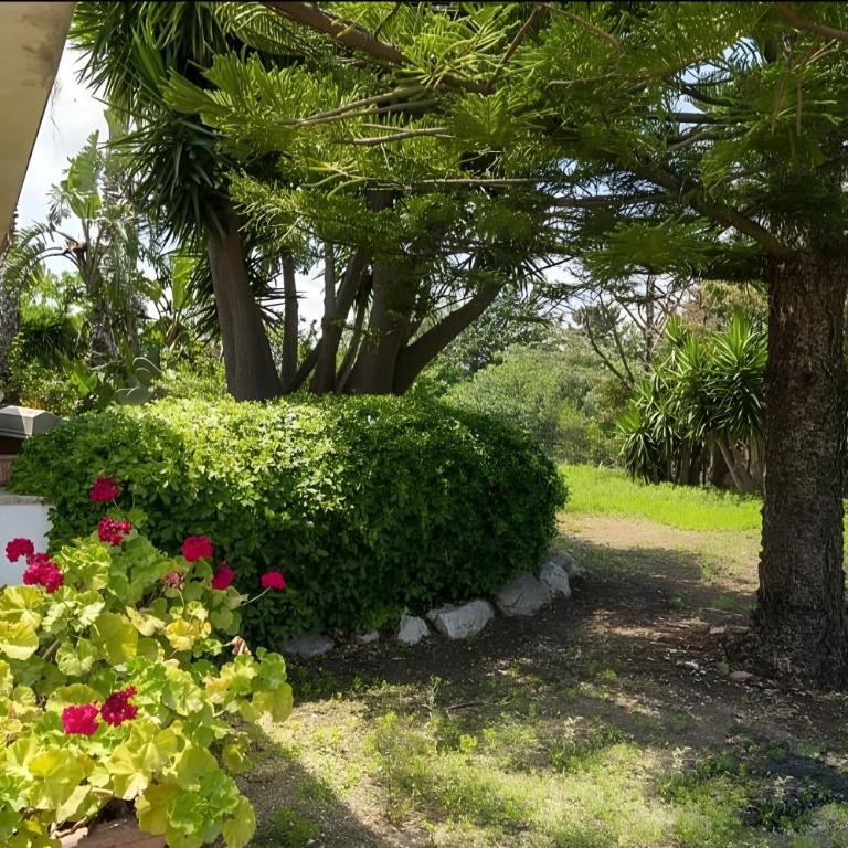 Villa Viola e Giulio - Villa - 26