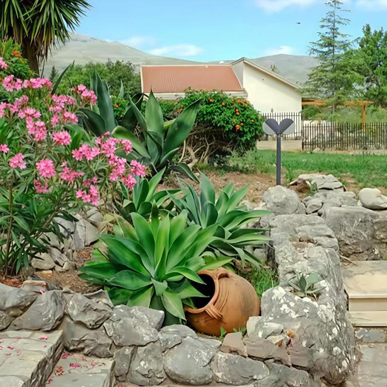 Villa Viola e Giulio - Villa - 28