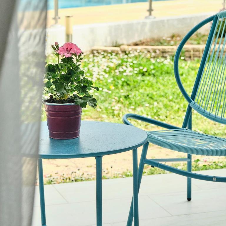 Artemia Aigues-Mortes - Hôtel avec piscine - Bornes électriques - Parking privé - Local vélo-moto - Chambre Double ou Lits Jumeaux Supérieure avec Terrasse - 4