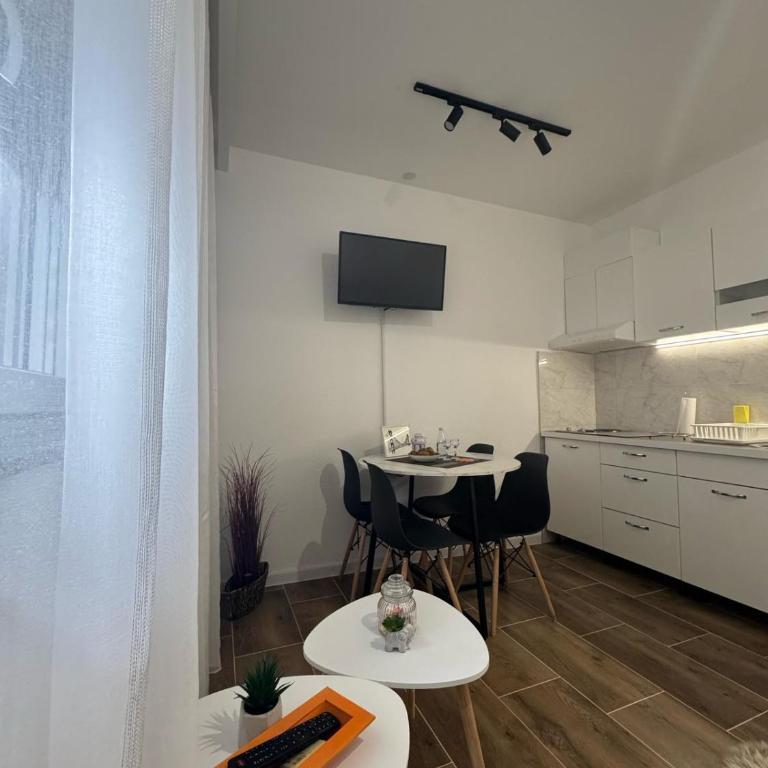 Apartmani Petrović - Apartman sa 1 Spavaćom Sobom - 2