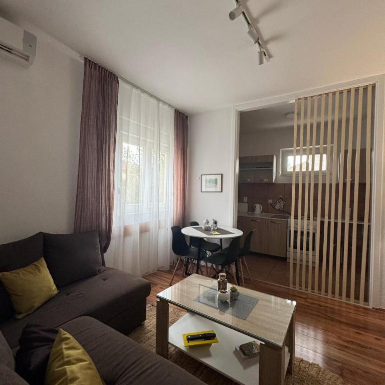 Apartmani Petrović - Deluks Dvokrevetna Soba sa Bračnim Krevetom/Zasebnim Krevetima - 5