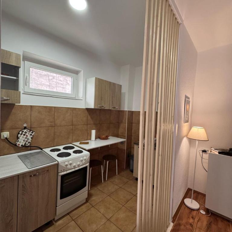 Apartmani Petrović - Deluks Dvokrevetna Soba sa Bračnim Krevetom/Zasebnim Krevetima - 2