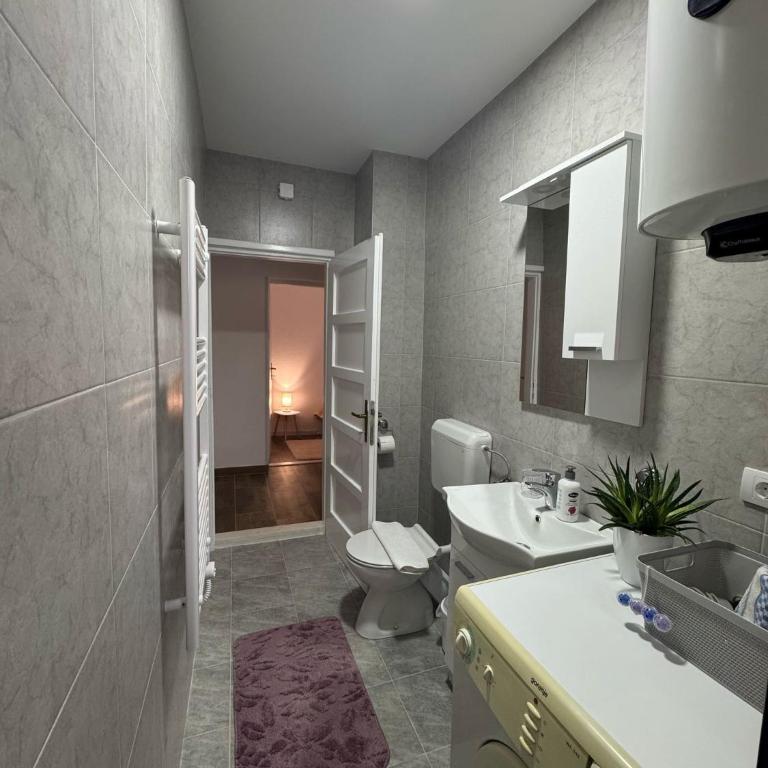 Apartmani Petrović - Deluks Dvokrevetna Soba sa Bračnim Krevetom/Zasebnim Krevetima - 7