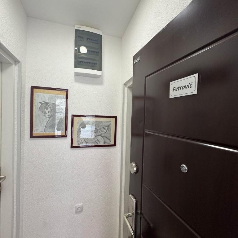 Apartmani Petrović - Apartman sa 1 Spavaćom Sobom - 11