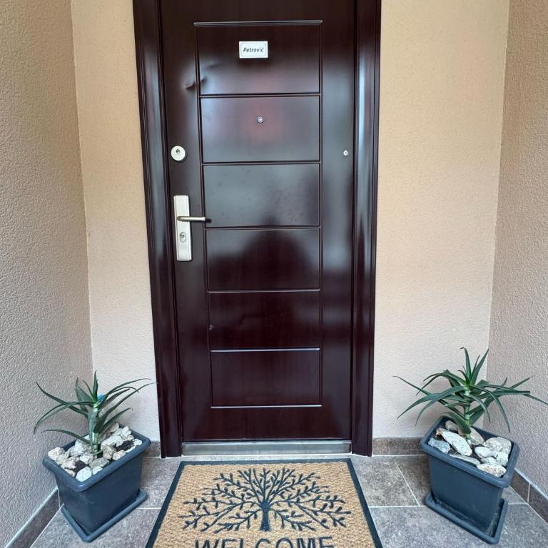 Apartmani Petrović - Apartman sa 1 Spavaćom Sobom - 12