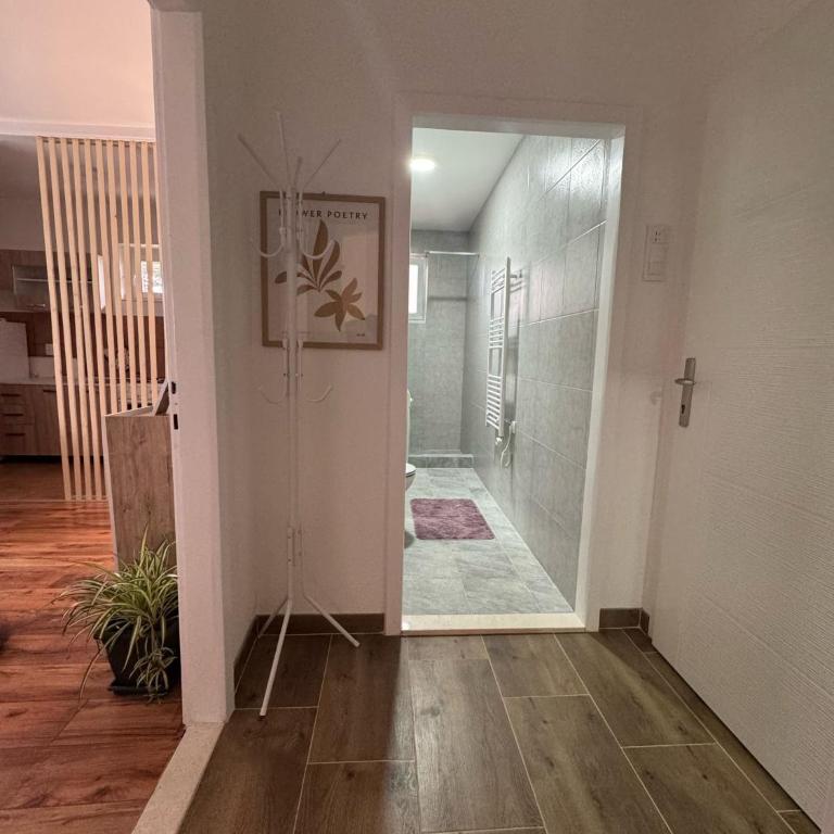 Apartmani Petrović - Deluks Dvokrevetna Soba sa Bračnim Krevetom/Zasebnim Krevetima - 12