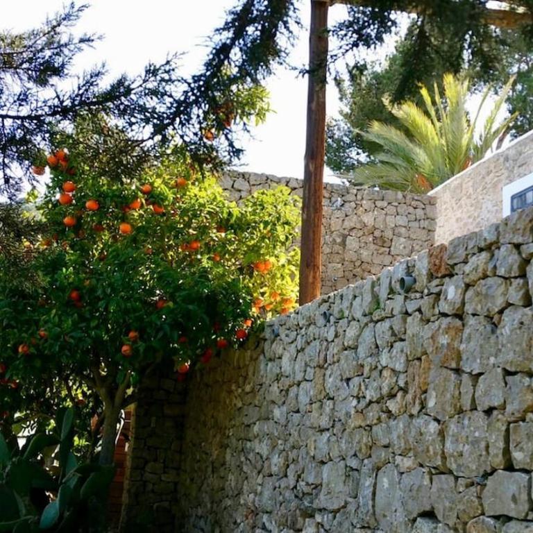 Designed Comfort Hilltop Villa Licence ET0447E - Villa - 50
