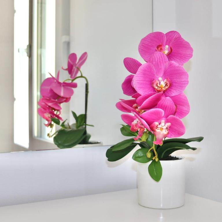 Seaside Heaven Panorama Views Prime Location - Apartamento de 2 dormitorios - 41