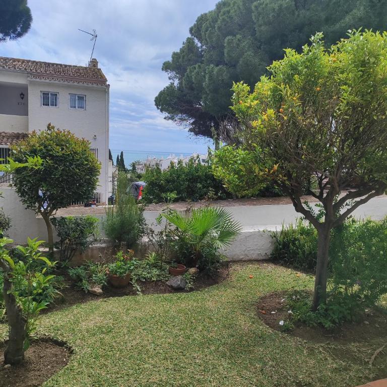 Las Acacias - One-Bedroom Apartment - 4