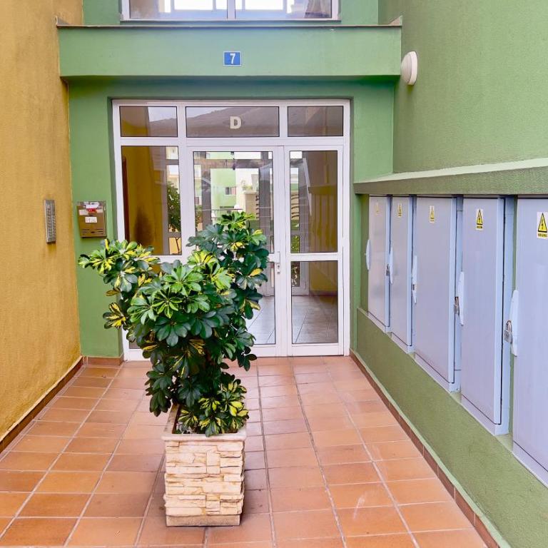 Apartamento Refugio Playero en Candelaria con Piscina - Apartamento de 1 dormitorio - 3