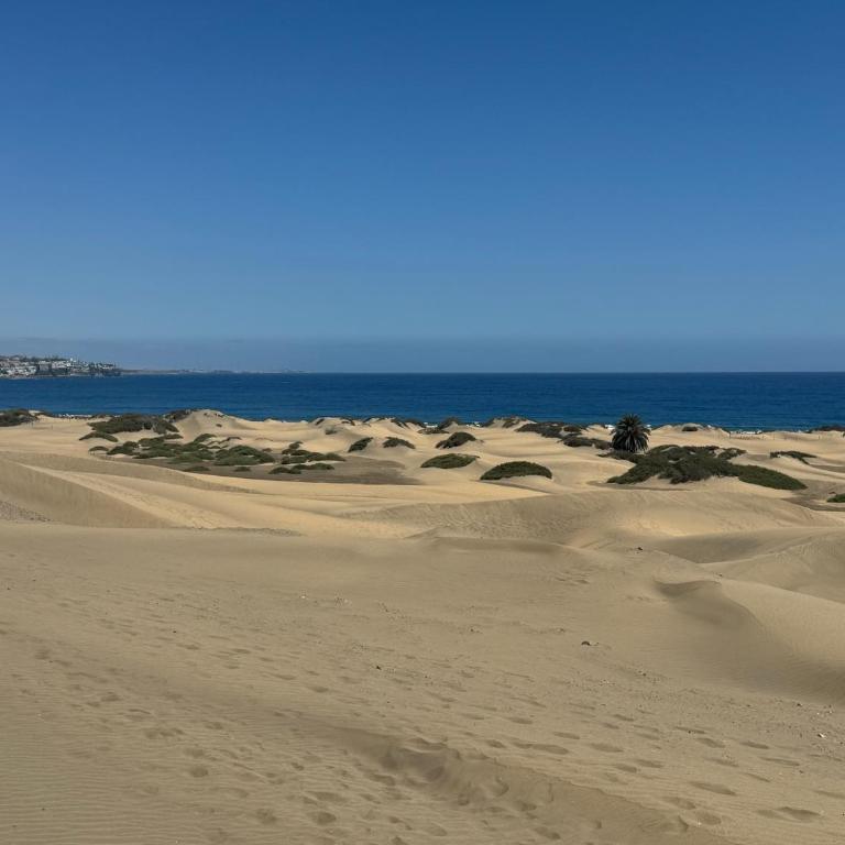 Five Suites Maspalomas by CanaryScape - Five-Bedroom House - 42