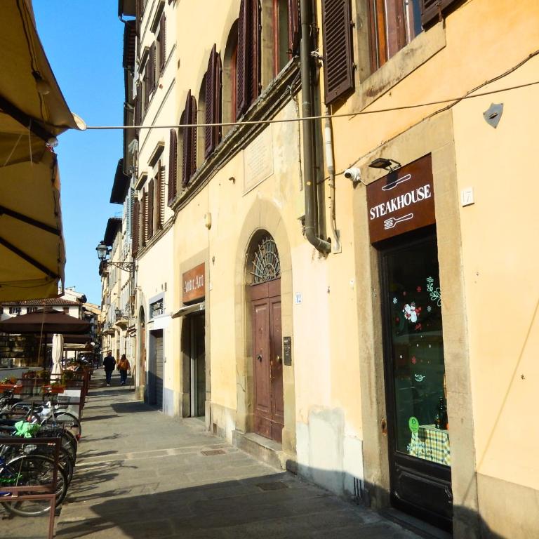 Very Special+Views in Front of Pitti Palace&Garden - Appartamento Attico - 10