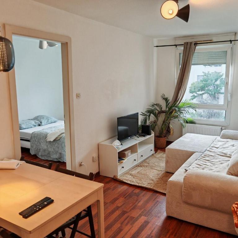 Charmant appartement au centre - Appartamento con 1 Camera da Letto - 2