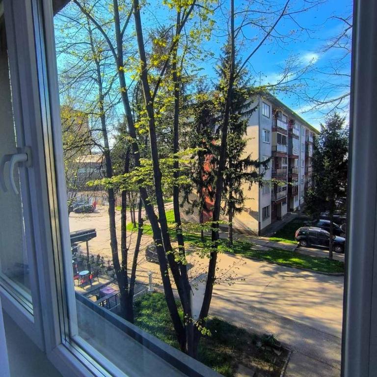 Esma - One-Bedroom Apartment - 50