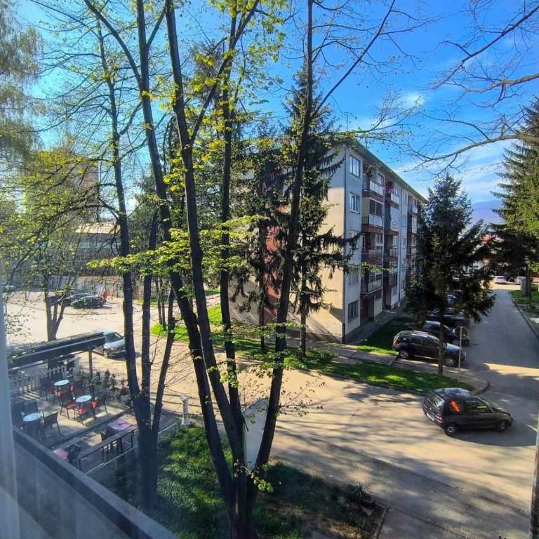 Esma - One-Bedroom Apartment - 49