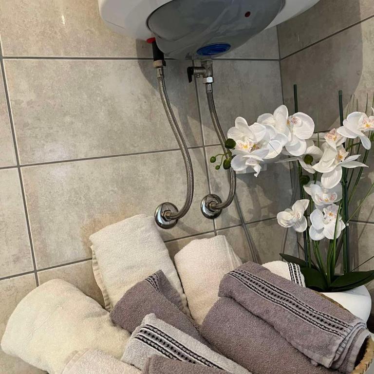 Apartman Perper 2 Trebinje - Apartman sa 1 Spavaćom Sobom - 9