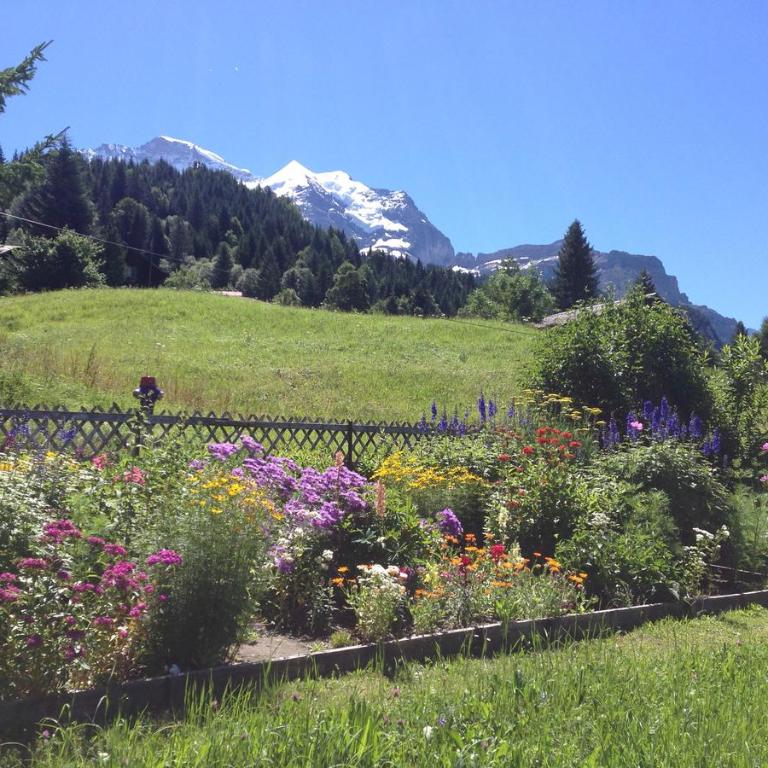 Staubbachbänkli - Apartment mit Blick auf die Berge - 2