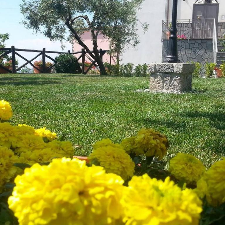 De Vivo Realty - Il Pozzo dei Desideri - Two-Bedroom Apartment - 4