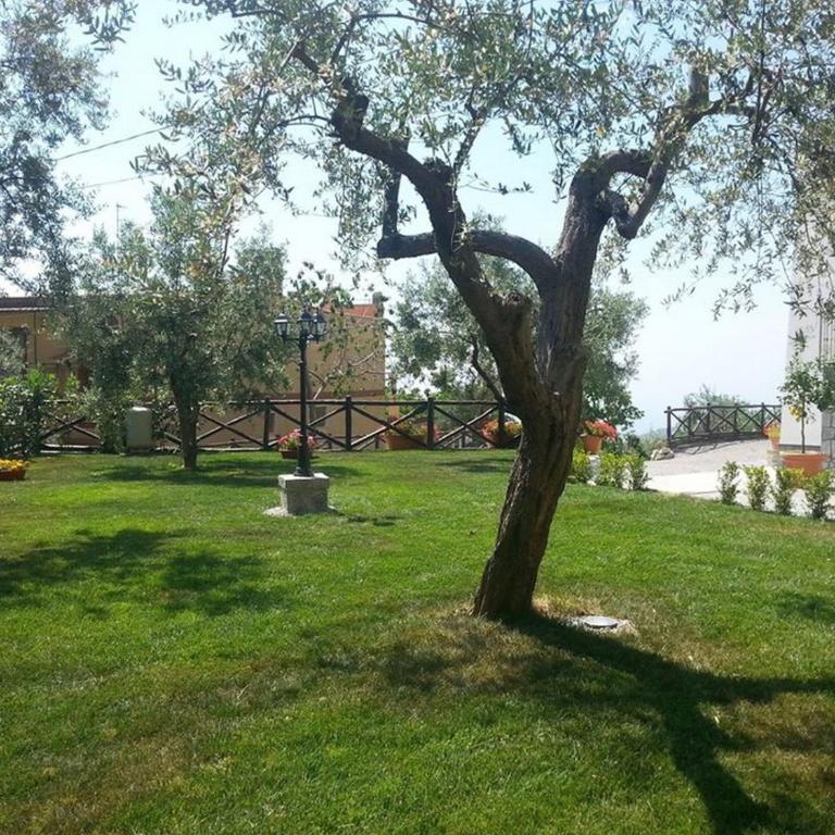 De Vivo Realty - Il Pozzo dei Desideri - Two-Bedroom Apartment - 24