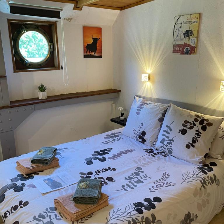 Péniche Le Pescalune - Chambre d'hôtes - Camera Matrimoniale - 10
