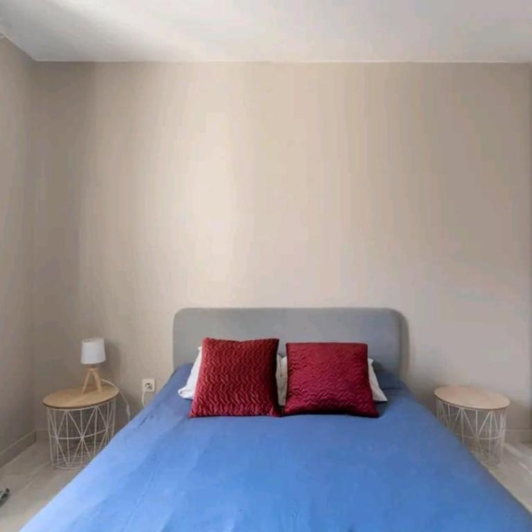 L'Atrium Hyper centre pour rejoindre Genève - Appartement 2 Chambres - 26