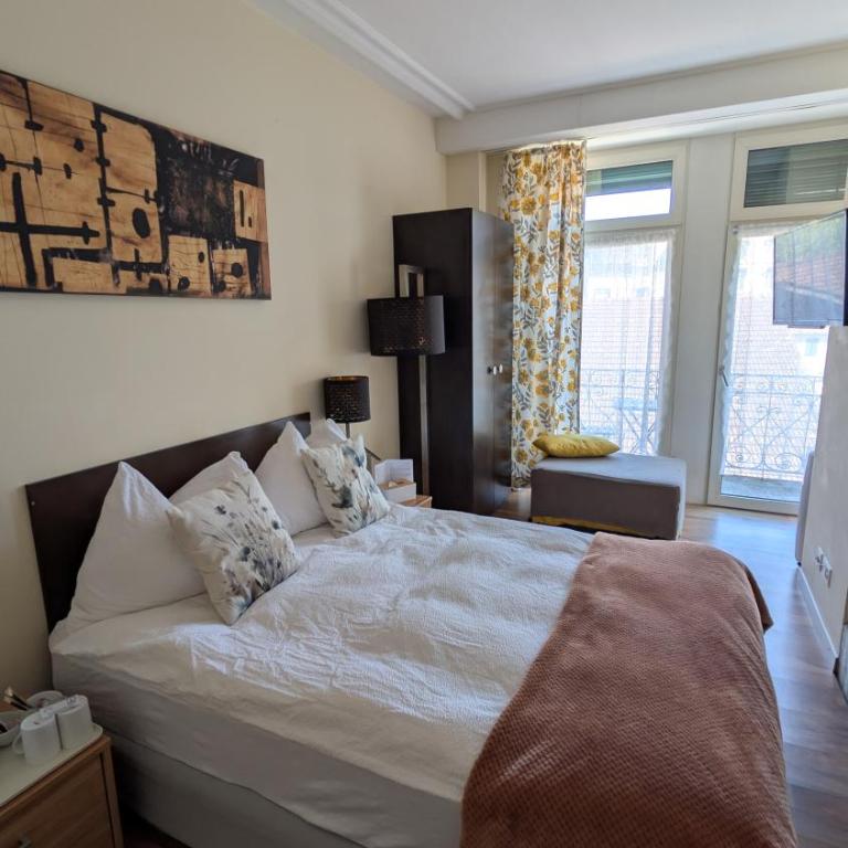 Hotel Harder Minerva - Chambre Double - 7