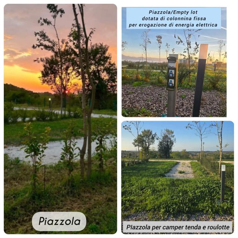 Agricampeggio AL CIELO STELLATO - Empty lot/Piazzola vuota (bring your own tent/caravan/autocamper) - 24