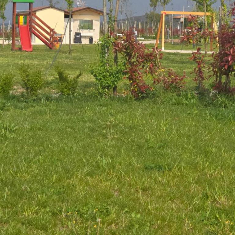 Agricampeggio AL CIELO STELLATO - Empty lot/Piazzola vuota (bring your own tent/caravan/autocamper) - 22