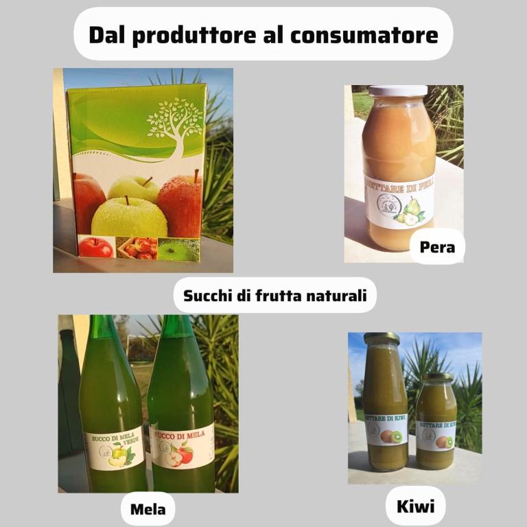 Agricampeggio AL CIELO STELLATO - Empty lot/Piazzola vuota (bring your own tent/caravan/autocamper) - 10