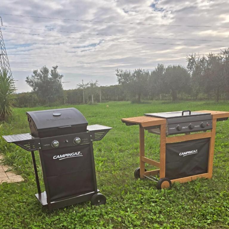 Agricampeggio AL CIELO STELLATO - Empty lot/Piazzola vuota (bring your own tent/caravan/autocamper) - 11