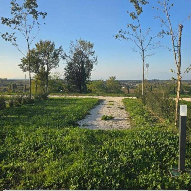 Agricampeggio AL CIELO STELLATO - Empty lot/Piazzola vuota (bring your own tent/caravan/autocamper) - 12