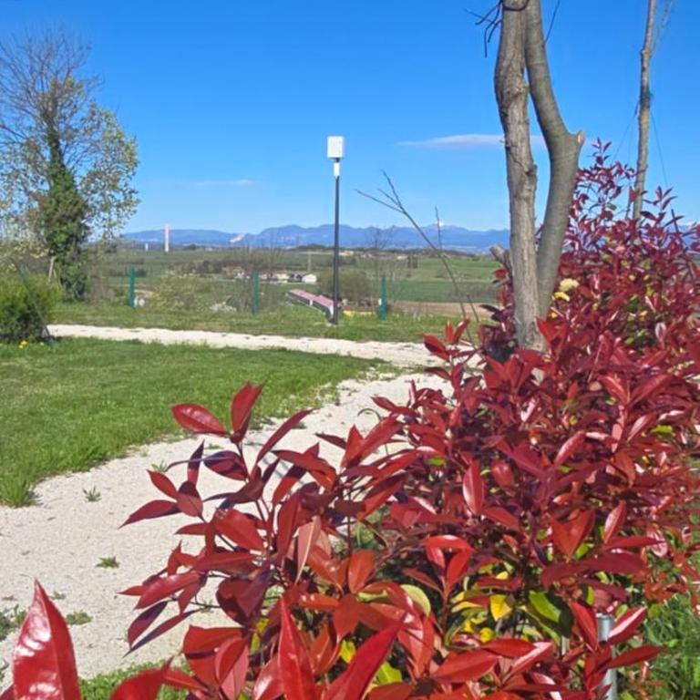 Agricampeggio AL CIELO STELLATO - Empty lot/Piazzola vuota (bring your own tent/caravan/autocamper) - 21