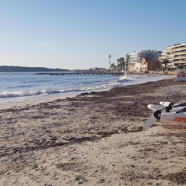 Appartement neuf Pointe Croisette, 50 m de la mer - Appartement 1 Chambre - 14