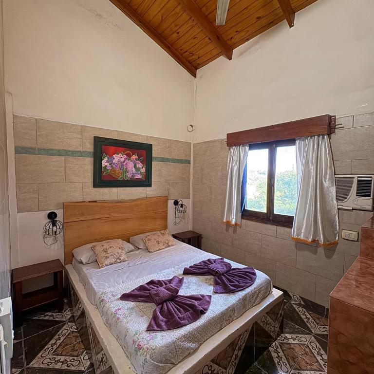 El Paraíso - One-Bedroom Apartment - 9