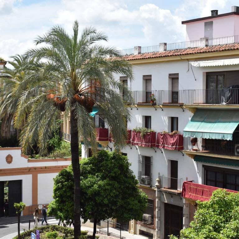 Apartamento en el Centro con Parking y Terraza - Apartamento - 26