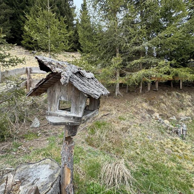 ALMNEST - LACHTAL - Ferienhaus - 31