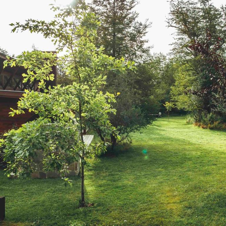 Arbolar, Casas de Montaña- Piscina climatizada - Casa de 2 dormitorios - 15